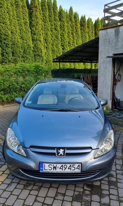 Peugeot 307 CC cena 9800 przebieg: 316000, rok produkcji 2004 z Aleksandrów Łódzki małe 154